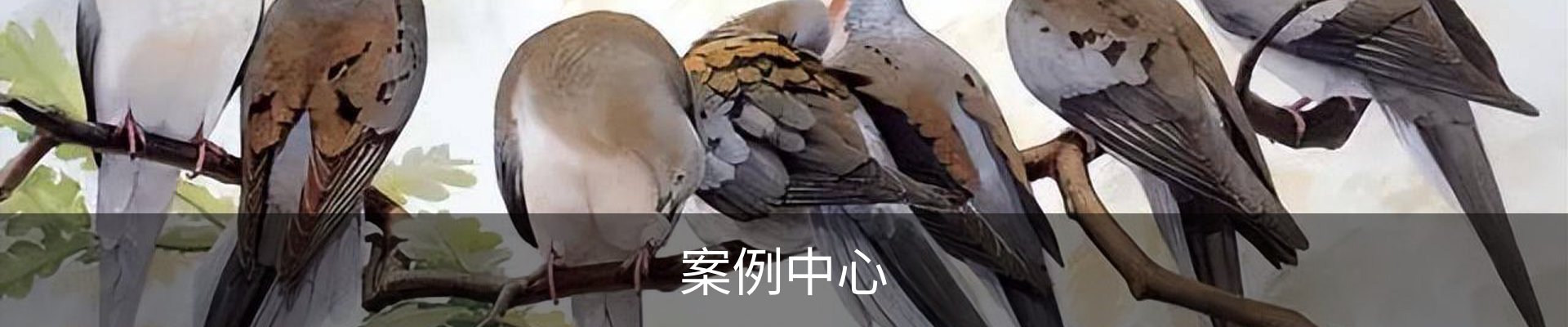 内页banner